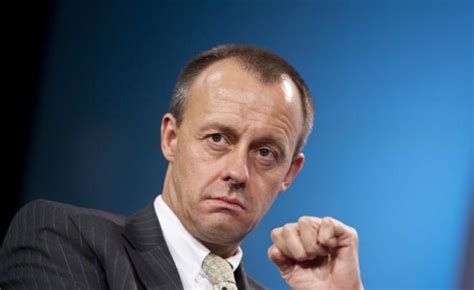 dr david merz net worth|Who is Friedrich Merz: Early Life, Family, Career, and Net Worth